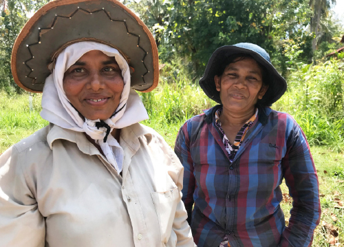 Vector Smart Object-3